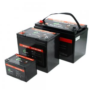 Quality ABS Deep Cycle Lifepo4 Rechargeable Battery 12v 10ah 50ah 100ah 1280Wh for sale